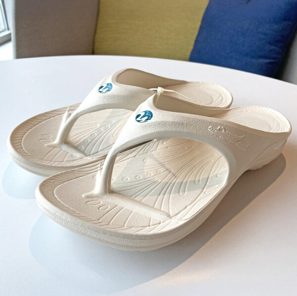 Flip_Flops_001