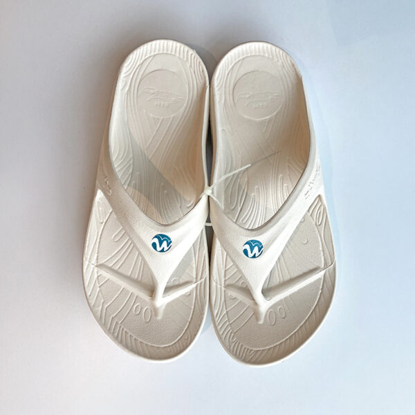 Flip_Flops_003